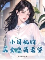 小司机的美女总裁老婆